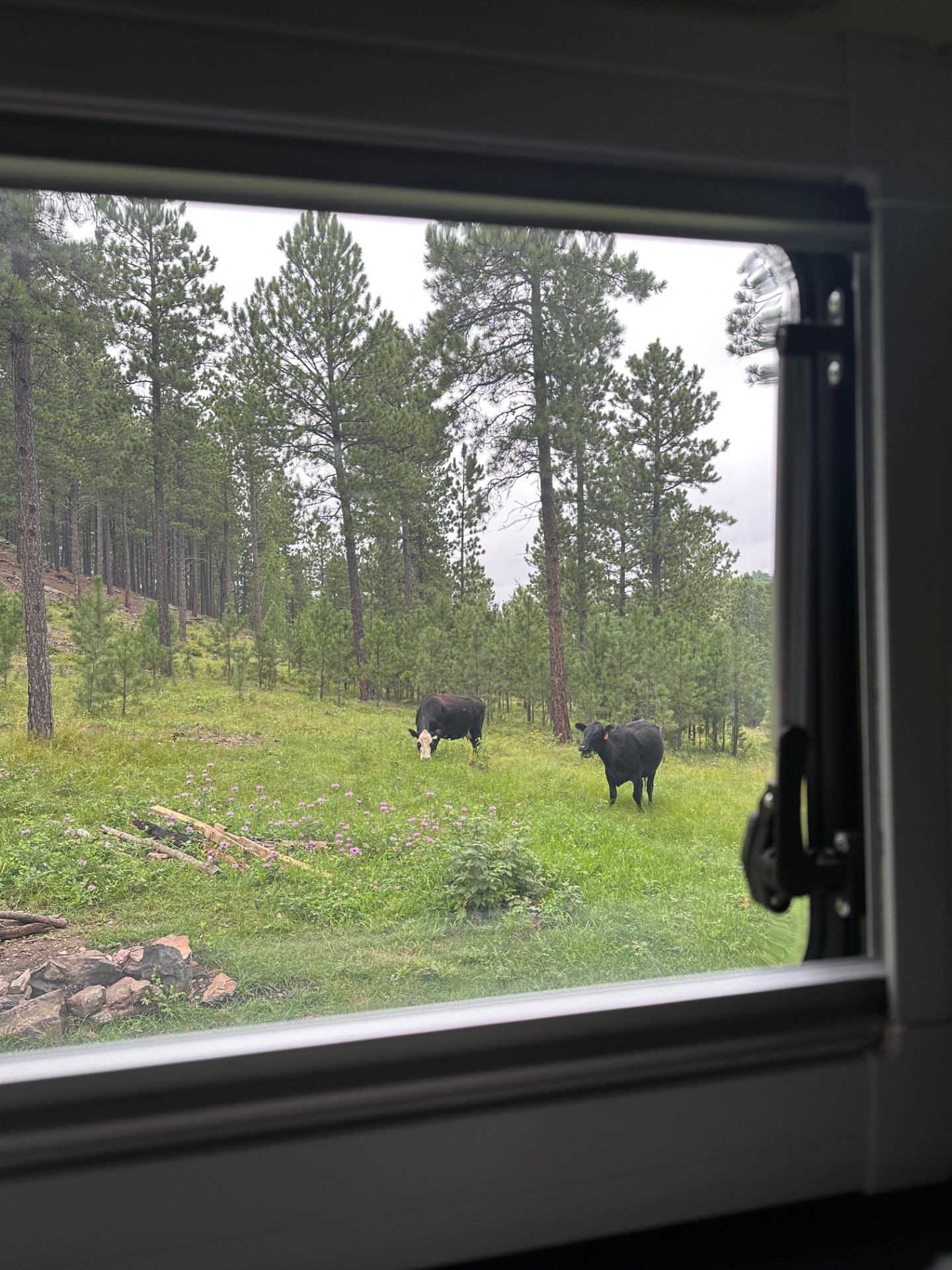 Black Hills NF - OPUS Camper USA